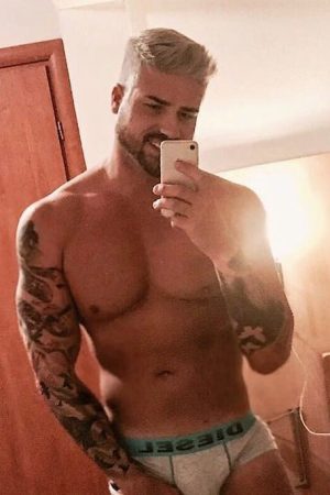 Vieil ours sauvage cherche apaiser la bête Rémy - rencontre-Gay-Niort